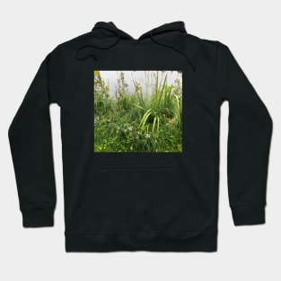 Green grass, summer Hoodie